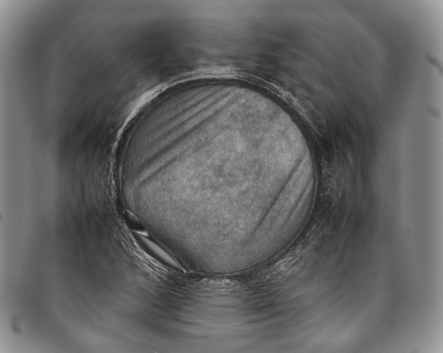 X0000098001168200804141159