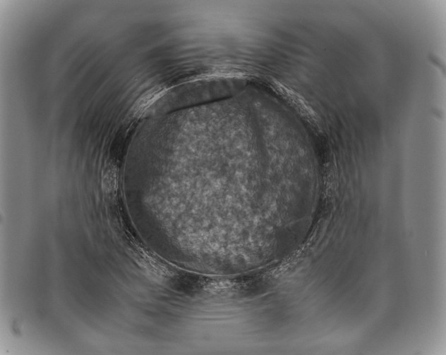 X0000098001169200804141159