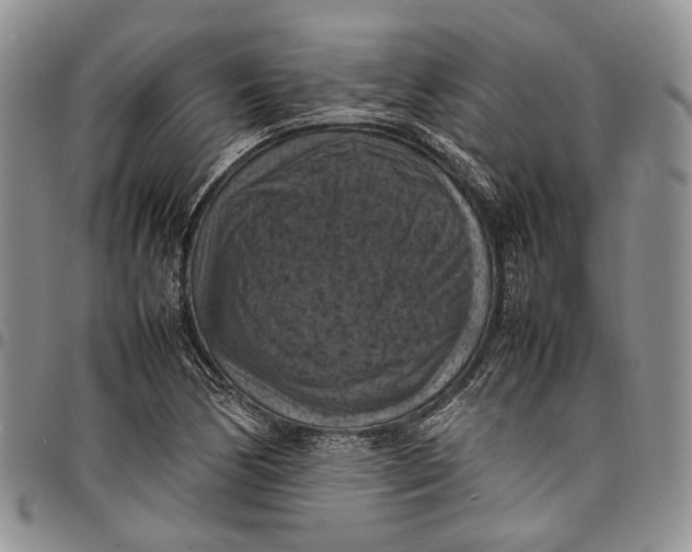X0000098001170200804141159