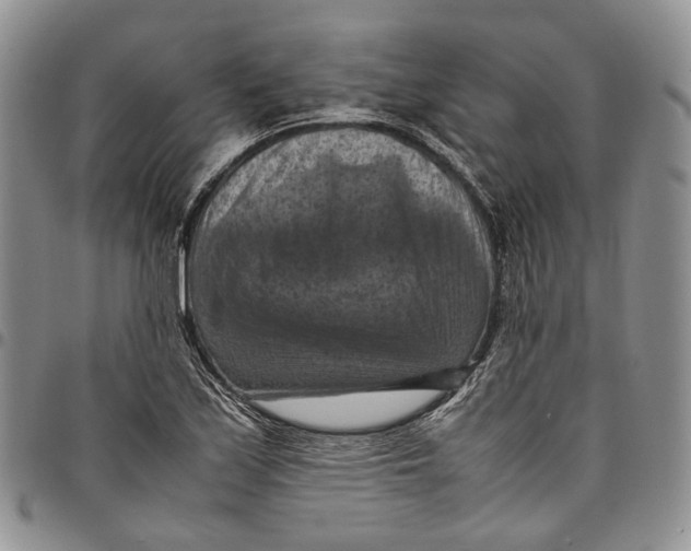 X0000098001171200804141159