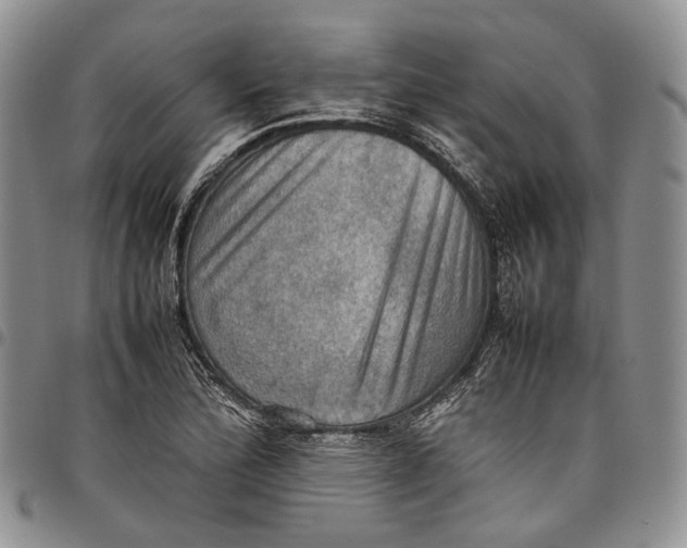 X0000098001172200804141159