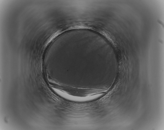 X0000098001173200804141159