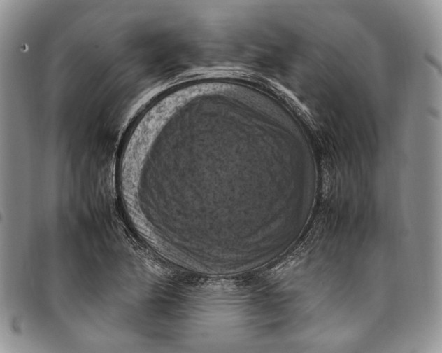 X0000098001174200804141159