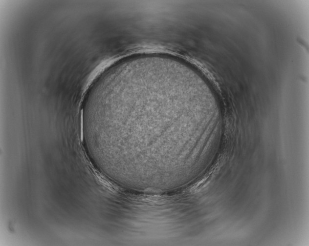 X0000098001175200804141159