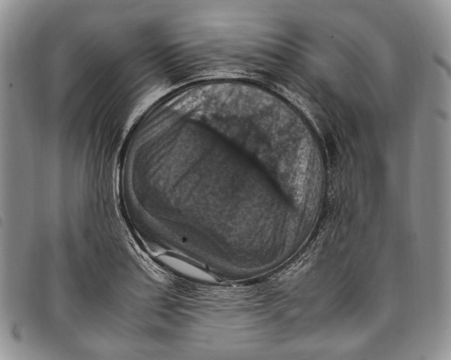 X0000098001179200804141159