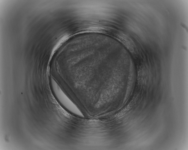 X0000098001180200804141159