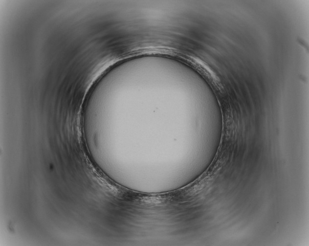 X0000098001182200804141159