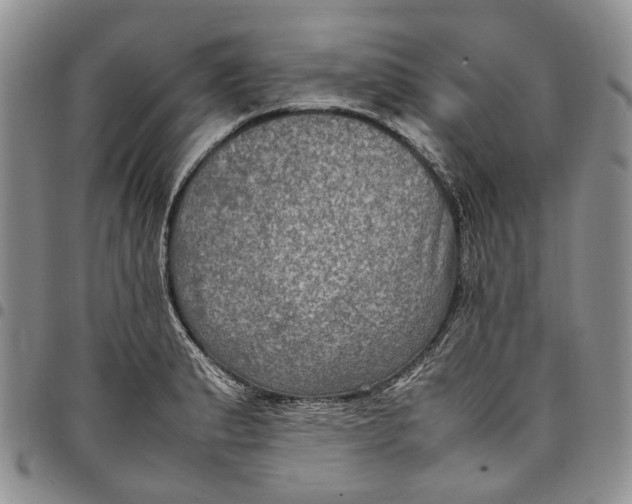 X0000098001183200804141159