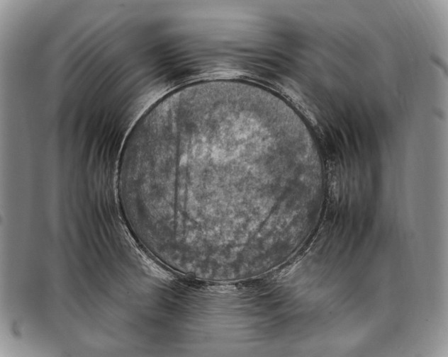 X0000098001186200804141159
