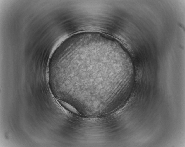 X0000098001188200804141159