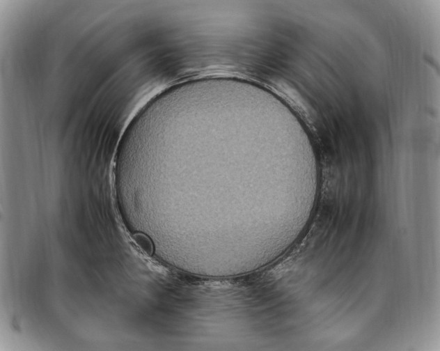 X0000098001190200804141159