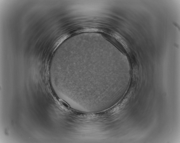 X0000098001193200804141159