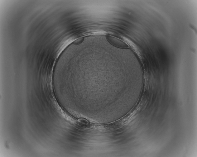 X0000098001194200804141159
