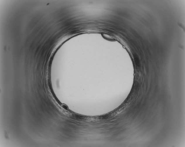 X0000098001195200804141159