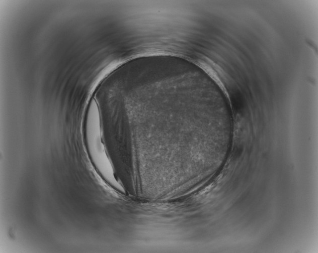 X0000098001197200804141159