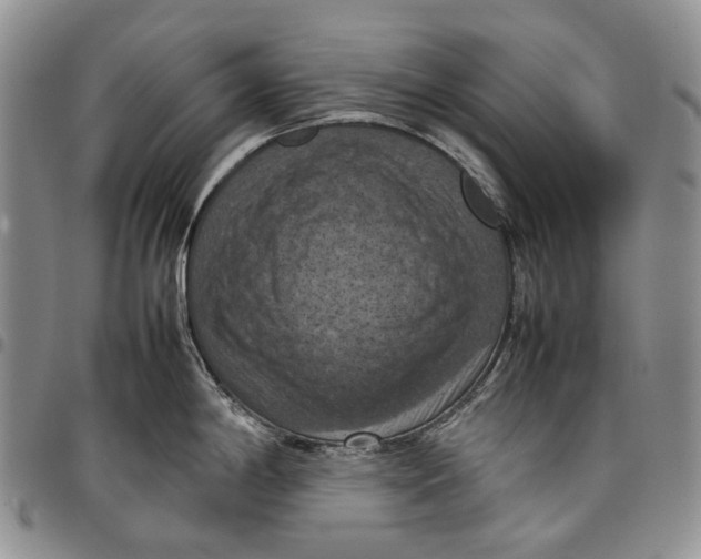 X0000098001198200804141159