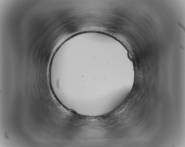 X0000098001199200804141159
