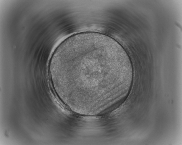 X0000098001200200804141159