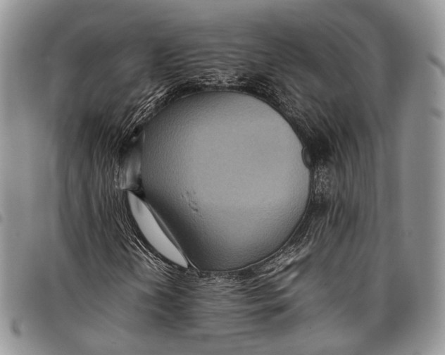X0000098001202200804141158