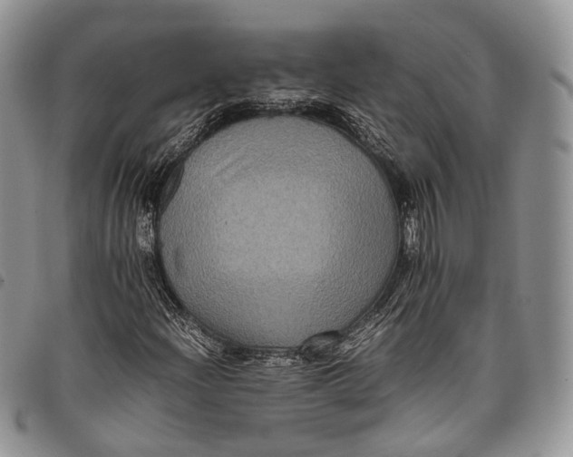 X0000098001204200804141158