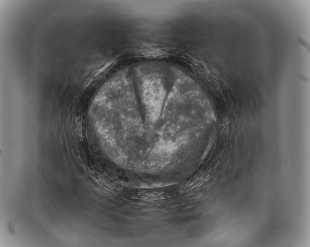 X0000098001205200804141158