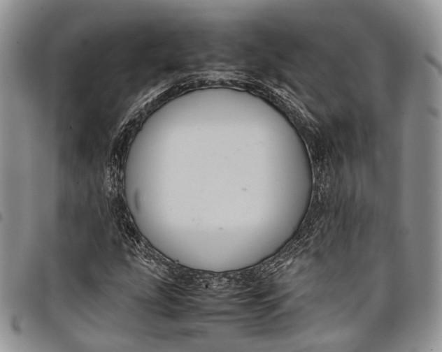 X0000098001207200804141158