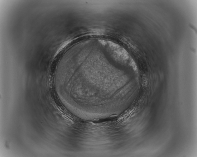 X0000098001208200804141158