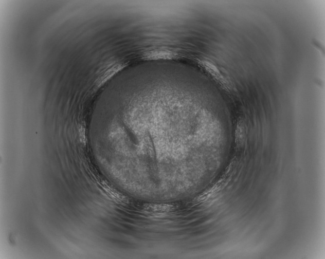 X0000098001209200804141158