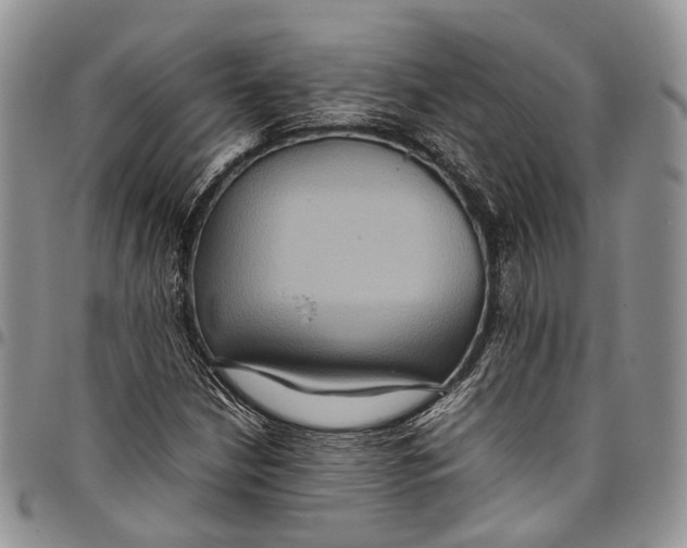 X0000098001210200804141158