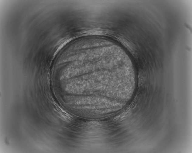 X0000098001212200804141158
