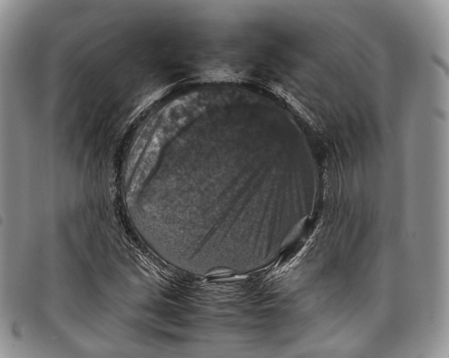 X0000098001213200804141158