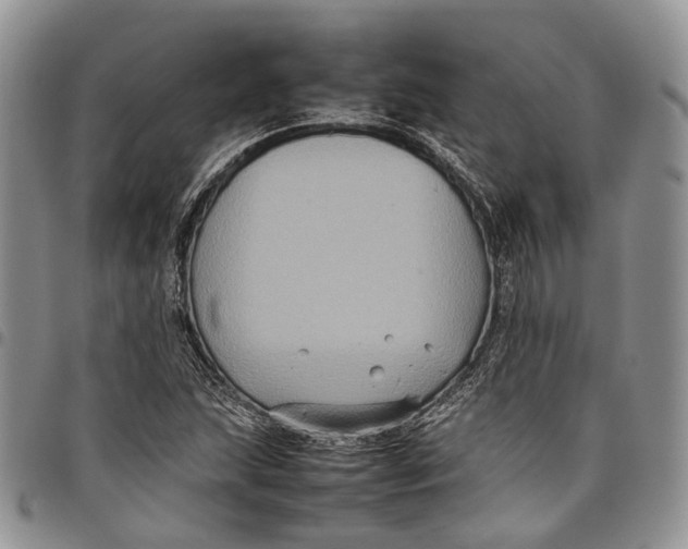 X0000098001215200804141158