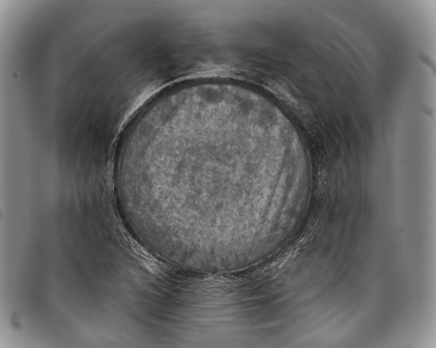 X0000098001216200804141158
