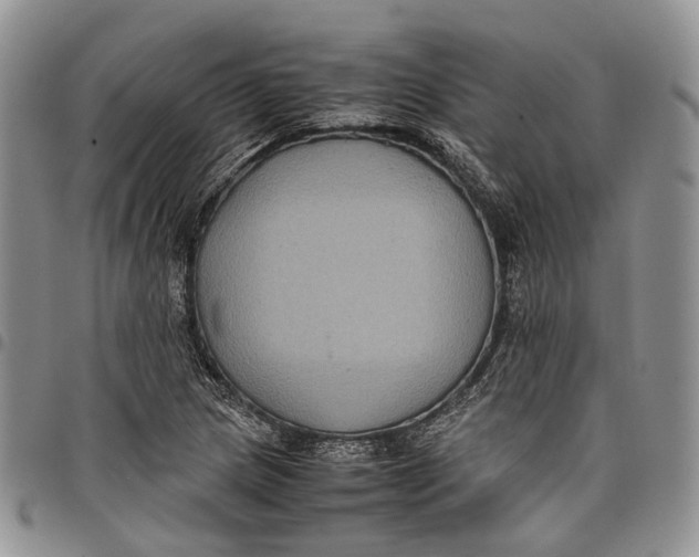 X0000098001217200804141158