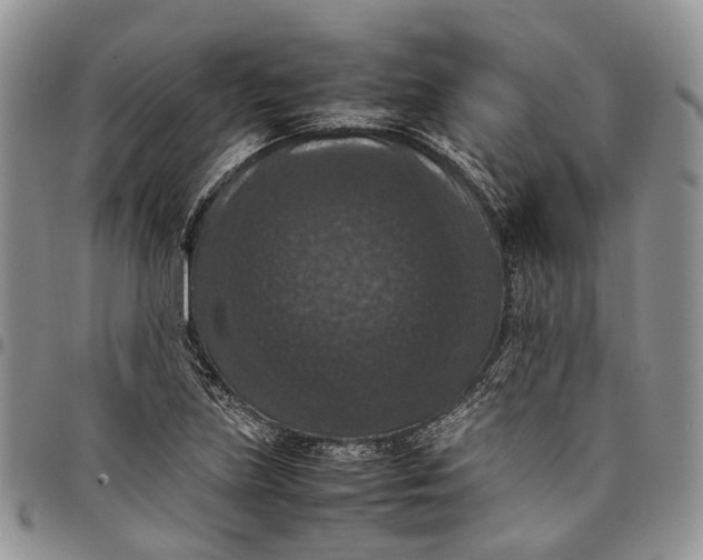 X0000098001219200804141158