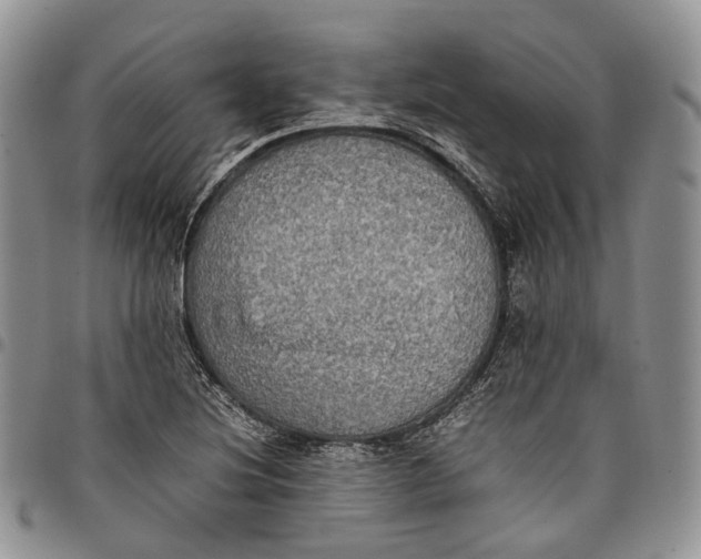 X0000098001220200804141158