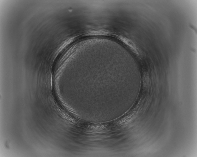 X0000098001221200804141158