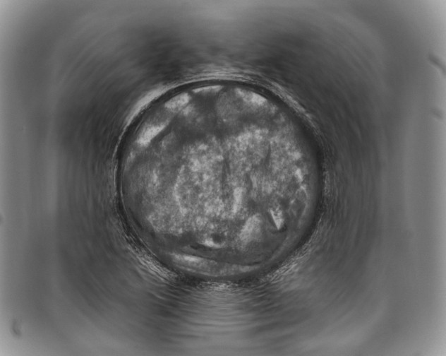 X0000098001222200804141158