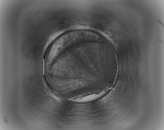 X0000098001223200804141158