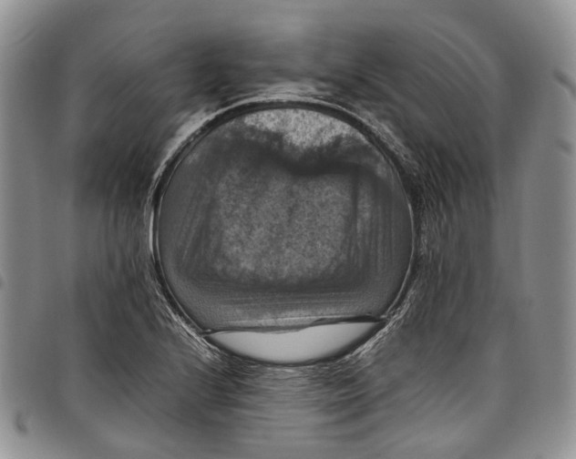 X0000098001224200804141158