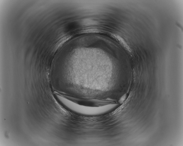 X0000098001225200804141158