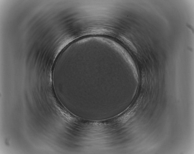 X0000098001226200804141158