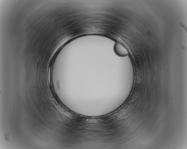 X0000098001227200804141158