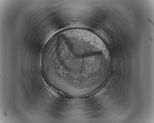 X0000098001228200804141158