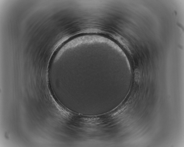 X0000098001229200804141158