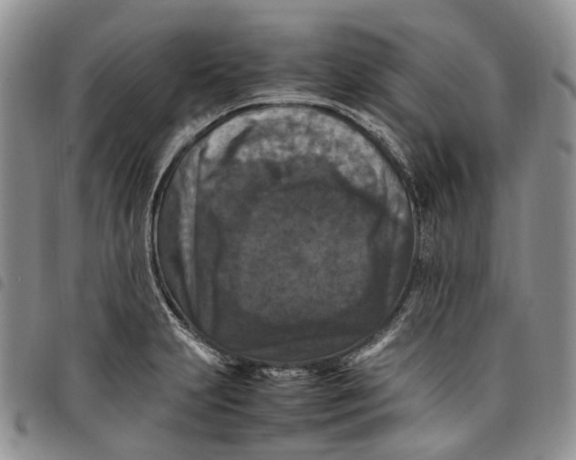 X0000098001231200804141158