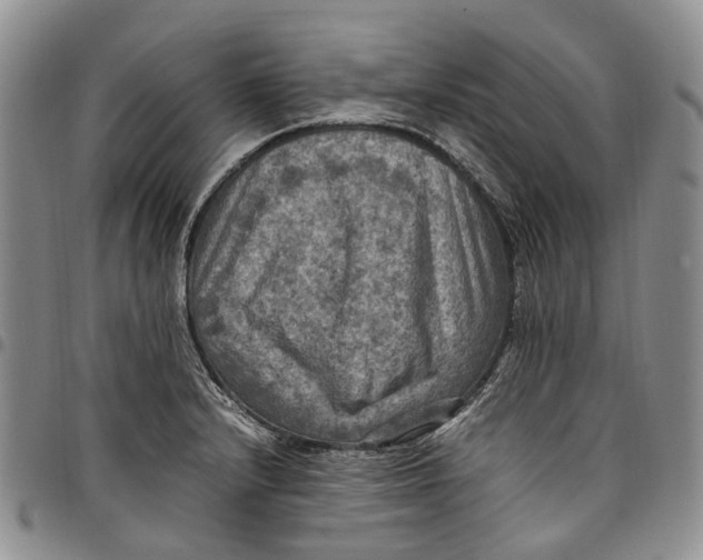 X0000098001232200804141158