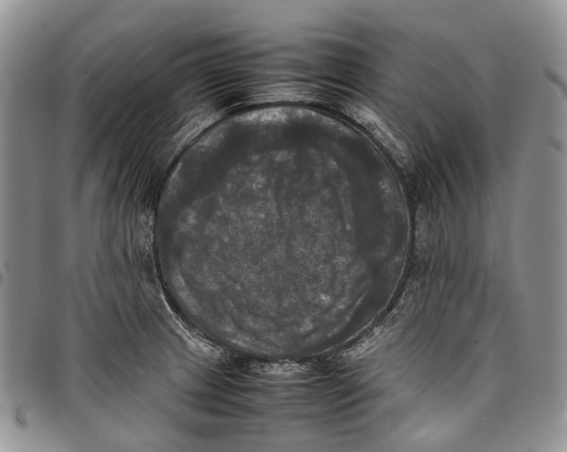 X0000098001233200804141159