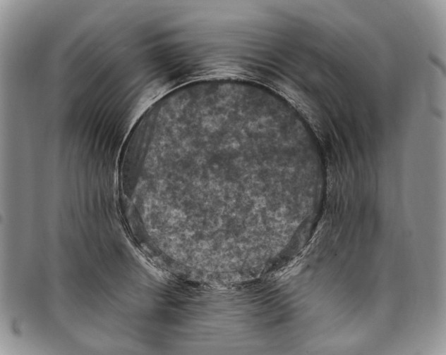 X0000098001234200804141159