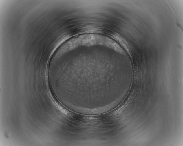 X0000098001235200804141159